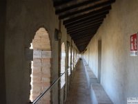 2026-07-03 Loreto  058